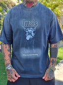 T-shirt Ihbis Grey