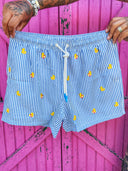 Costume Santa Monica