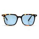 Occhiali Clays Tortoise Blu