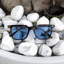 Occhiali Clays Tortoise Blu